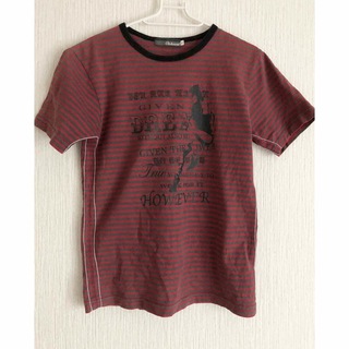 Solberry 半袖Tシャツ レディース 白 used M(Tシャツ/カットソー(半袖/袖なし))