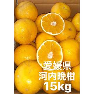愛媛県産　宇和ゴールド　河内晩柑　柑橘　15kg(フルーツ)