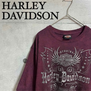 ハーレーダビッドソン(Harley Davidson)のHARLEY-DAVIDSON ハーレーダビットソン　ロゴ　Tシャツ(Tシャツ/カットソー(半袖/袖なし))