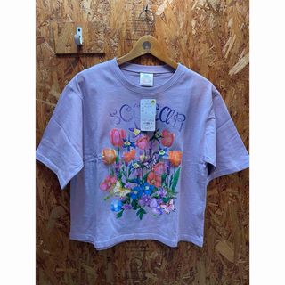 スカラー(ScoLar)のscolar スカラー　142616：花蝶柄ロゴプリントTシャツ(Tシャツ(半袖/袖なし))