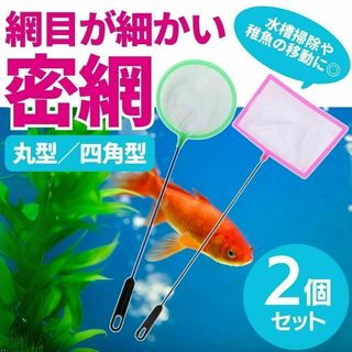 密網 角型 丸型 ごみ取りネット ２本セット 水槽 熱帯魚 金魚 メダカ 掃除