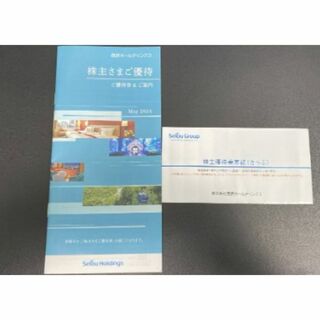 西武ホールディングス 株主優待 冊子1冊　乗車証2枚 期限2024/11/30 (鉄道乗車券)