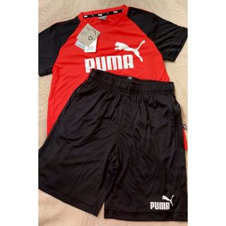 プーマ(PUMA)の新品☆PUMA　プーマ　ジャージ上下　120(Tシャツ/カットソー)