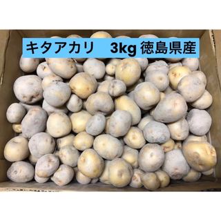 新じゃがいも　キタアカリ　3kg コロコロサイズ(野菜)