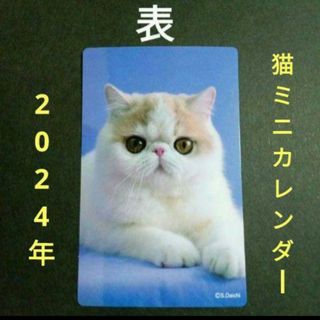 猫ミニカレンダー【2024年】　　　ポケットサイズカレンダー(その他)