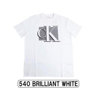 カルバンクライン(Calvin Klein)のカルバンクライン　グラフィックTシャツ　ロゴTee ホワイト　白　L(Tシャツ/カットソー(半袖/袖なし))