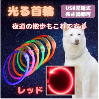 光る 首輪 レッド LEDライト USB充電 犬 ドッグ おしゃれ 夜の散歩(犬)