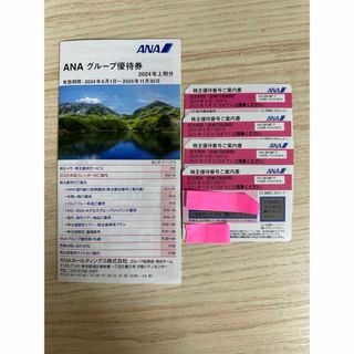 エーエヌエー(ゼンニッポンクウユ)(ANA(全日本空輸))の最新　ANA株主優待券　4枚+1冊(航空券)