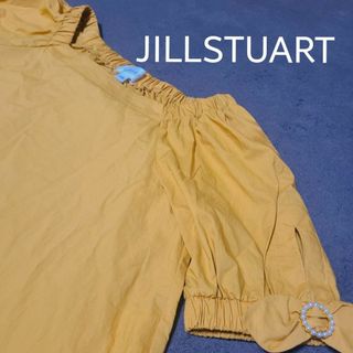 JILLSTUART ブラウス 半袖 コットン 黄色 イエロー(シャツ/ブラウス(半袖/袖なし))