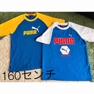 プーマ(PUMA)のPUMA  Tシャツ　160cm (Tシャツ/カットソー)