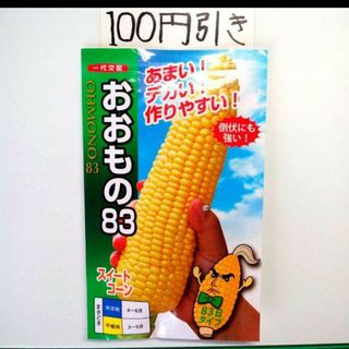 トウモロコシ おおもの83 スイートコーン　種 55粒 1袋分　種のみ(野菜)