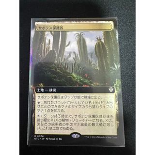 マジックザギャザリング(マジック：ザ・ギャザリング)の【MTG】サボテン保護区 R 076 拡張ｱｰﾄ【OTC】(シングルカード)