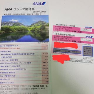 エーエヌエー(ゼンニッポンクウユ)(ANA(全日本空輸))のANA 株主優待　2枚(その他)