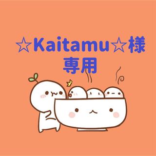 ☆Kaitamu☆様　専用(5/31迄)(各種パーツ)