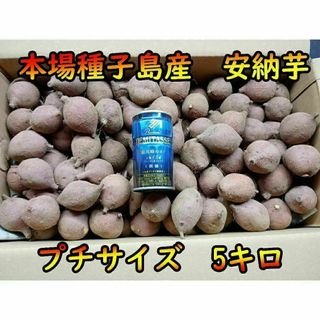 【本場】安納芋 紅プチサイズ　5キロ【種子島産】(野菜)