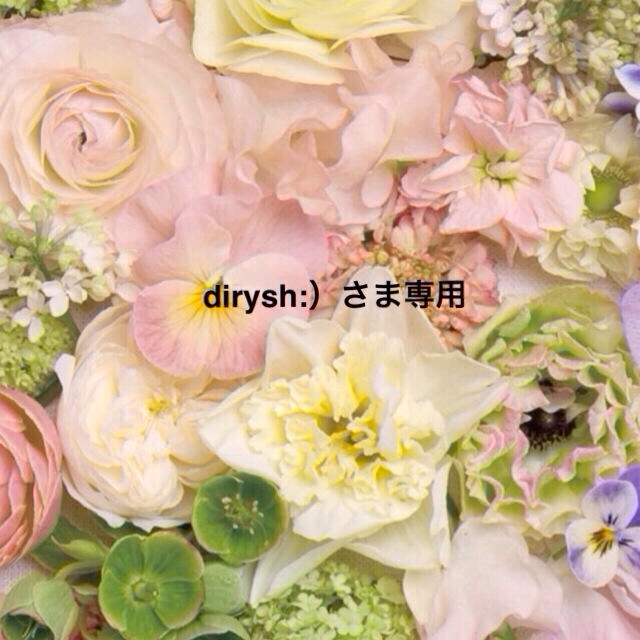 dirysh:）さま専用ページ♡