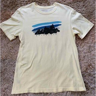 パタゴニア(patagonia)のパタゴニア　Patagonia レギュラーフィットTシャツ(Tシャツ/カットソー(半袖/袖なし))