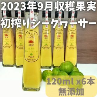 初搾り 沖縄産 青切り シークワーサー 120ml x 6本 お土産 ジュース