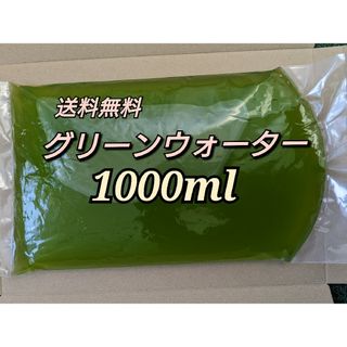 グリーンウォーター 1000ml　メダカ　稚魚　ミジンコ　青水　針子(アクアリウム)