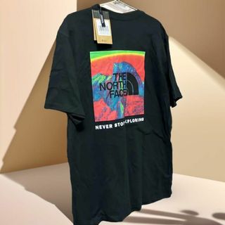 ザノースフェイス(THE NORTH FACE)のタグ付き新品L ノースフェイス レインボーバックプリントNSEロゴ 半袖TEE(Tシャツ/カットソー(半袖/袖なし))