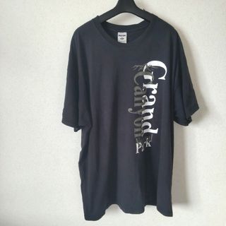 Tシャツ 　管理Ｄ23(Tシャツ/カットソー(半袖/袖なし))