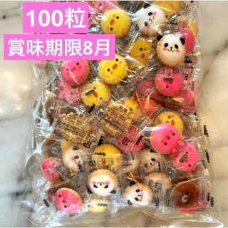 アニマルヨーチ　100粒(菓子/デザート)