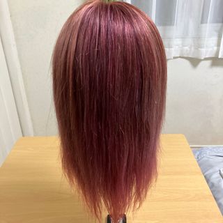 ヘアアレンジウィッグ　カットウィッグ　美容師国家試験(ウィッグ)