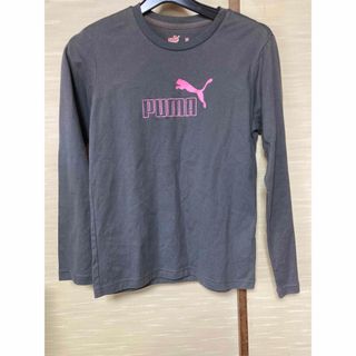 PUMA - プーマ 長袖Tシャツ レディースM