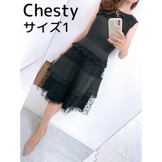 Chesty - 【美品✨】Chesty❤️チェスティ✨サイズ1✨オーガンジーワンピース