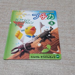 『カブトムシ クワガタムシずかん』(絵本/児童書)