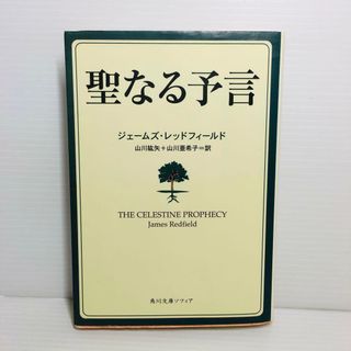 P0516-063　聖なる予言(文学/小説)