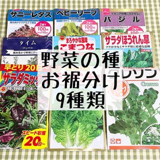 野菜の種 お裾分け 9種類 各20粒＋α