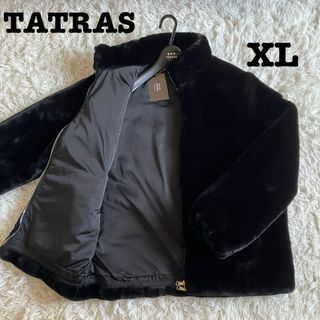 タトラス(TATRAS)の現行タグ付き✨タトラス ブルゾンASTONI アストーニ  23AW ハンガー付(ブルゾン)