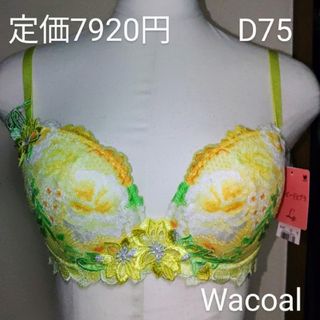 ワコール(Wacoal)の新品ルジェWacoalブラ日本製D75㎝定価7920円(ブラ)