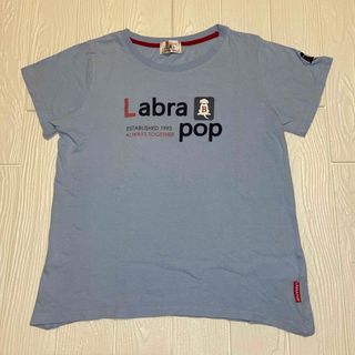 ラブラドールリトリーバー(Labrador Retriever)のラブラドールレトリバー プリントTシャツカラー 水色スカイブルー レディース L(Tシャツ(半袖/袖なし))