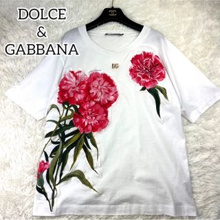 ドルチェアンドガッバーナ(DOLCE&GABBANA)の極美品✨ドルチェアンドガッバーナ　花柄Tシャツ　半袖　トップス　38 春夏　人気(Tシャツ(半袖/袖なし))