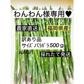 わんわん様専用♥︎アスパラガス(野菜)