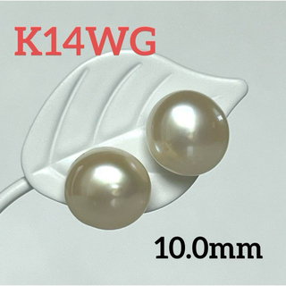 新品　K14WG  大きい　10.0mm 淡水真珠 ピアス(ピアス)