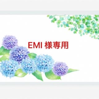 ワイヤークラフト EMI様専用(その他)