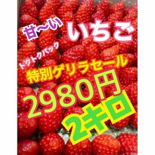 ho34 いちご　苺　山梨県産　紅ほっぺ　箱込2キロ  旬のフルーツ(野菜)