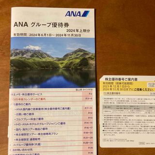 ANA グループ優待券(その他)