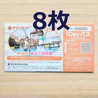 東京サマーランド 春秋限定 株主招待券（1Dayパス） 8枚(その他)