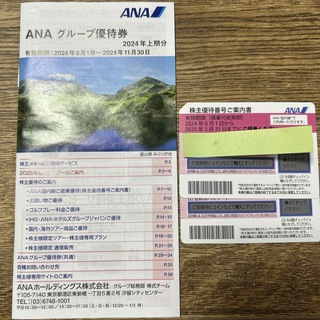 ANA株主優待2枚セット　〜25年5月まで