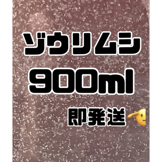 【ゾウリムシ大容量】900ml送料無料めだか金魚etc.(アクアリウム)