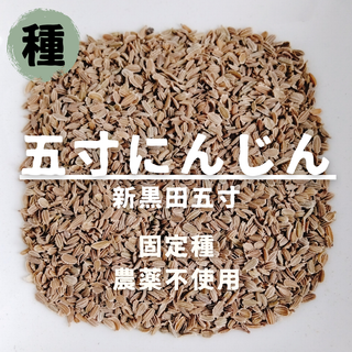 【種】ニンジン　新黒田五寸　無農薬　200粒(野菜)