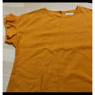  テチチ　ブラウス　シャツ　tシャツ 半袖　mサイズ から Lサイズぐらい (シャツ/ブラウス(半袖/袖なし))
