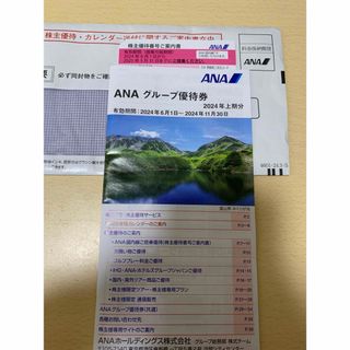 エーエヌエー(ゼンニッポンクウユ)(ANA(全日本空輸))のANA株主優待券1枚(航空券)