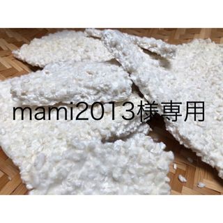 【mami2013様専用】生米麹400g(米/穀物)