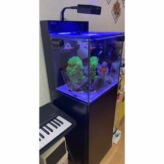 【LED付！おまけ有り！】RedSea Max Nano Cube