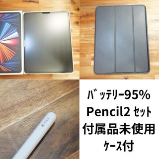 Apple - 【ペン、ケース付・付属品未使用】iPadPro 12.9 第5世代 256GB